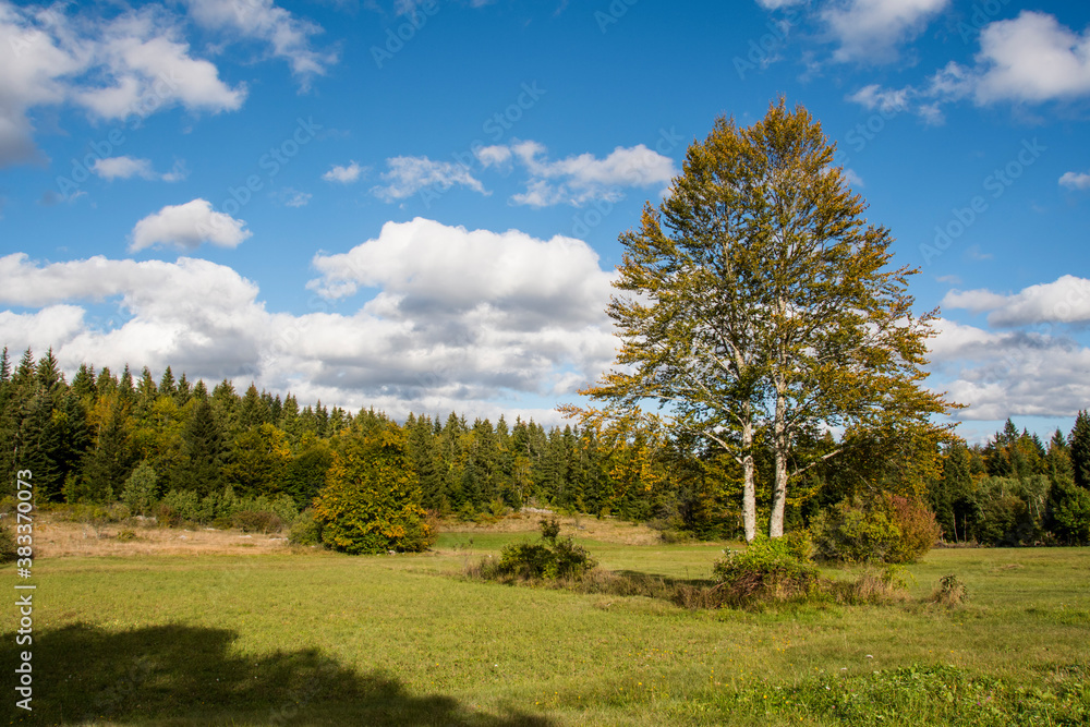 OCTOBER, 2020 - Scenic landscape of the Velebit mountain. Beautiful autumn day on the meadow OCTOBER, 2020 - Scenic landscape of the Velebit mountain. Beautiful autumn day on the meadow