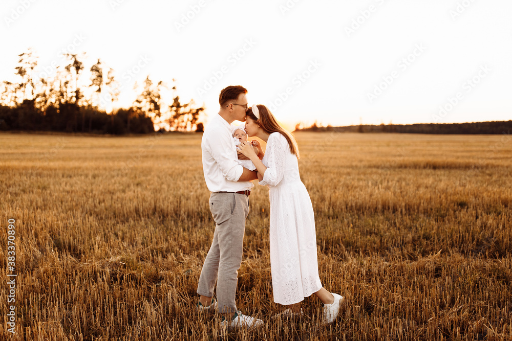 Happy family with little daughter walking at the field, caring dad hold cute newborn baby girl in arms, handsome father kiss gorgeous mother, parenthood concept Happy family with little daughter walking at the field, caring dad hold cute newborn baby girl in arms, handsome father kiss gorgeous mother, parenthood concept
