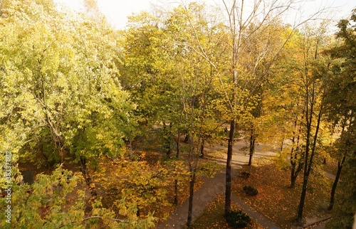 Trees with multicolored leaves in the park. Autumn landscape.