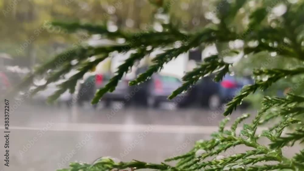 Urban street with blurred objects and raindrops on window glass. Cars passing by the window. Blurred view. Urban street with blurred objects and raindrops on window glass. Cars passing by the window. Blurred view.