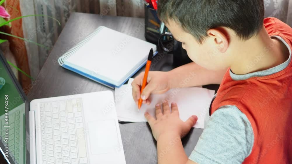 boy studies at home at the computer. remote education, school child learns lessons online using video broadcasting and modern technologies, looks at monitor screen and do homework, learning online