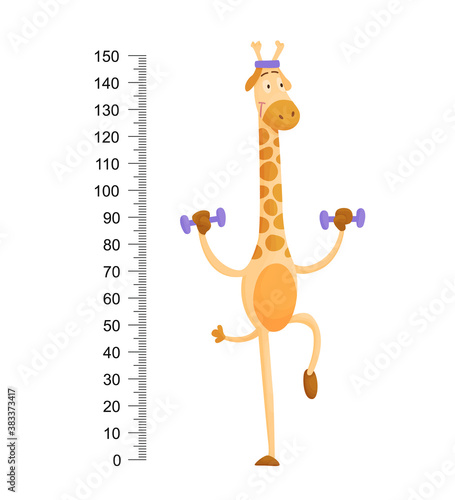 Funny giraffe. Cheerful funny giraffe with long neck. Giraffe meter wall or height chart or wall sticker. Illustration with scale from 2 to 150 centimeter to measure growth