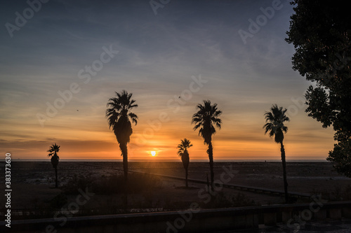 sunset on the ocean coast, colorful sky, several large palm trees on the sky background