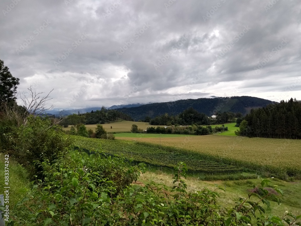 Obraz premium landscape with clouds