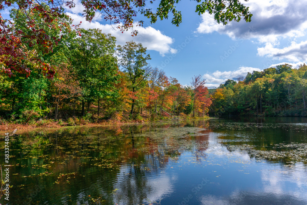 View of forest in fall season with reflection of trees in the lake