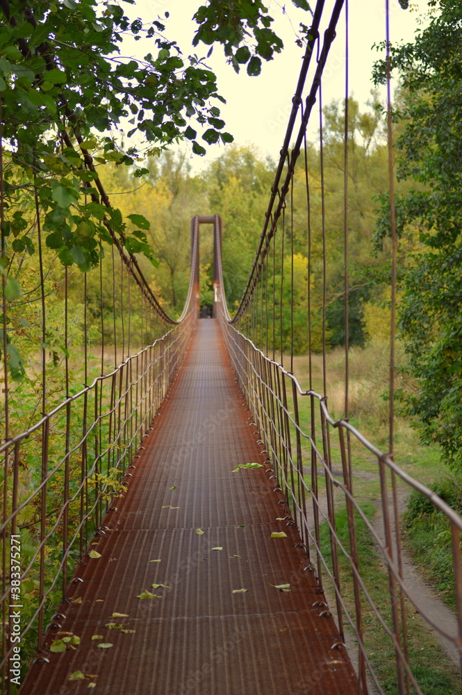 Obraz premium wooden bridge in the forest