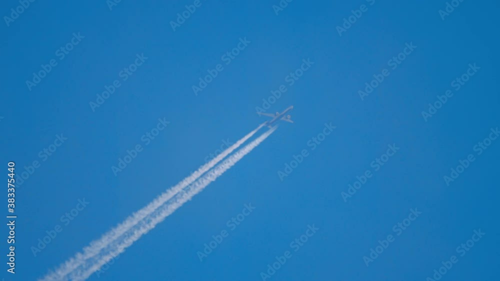 Flying high in the blue sky Flying high in the blue sky