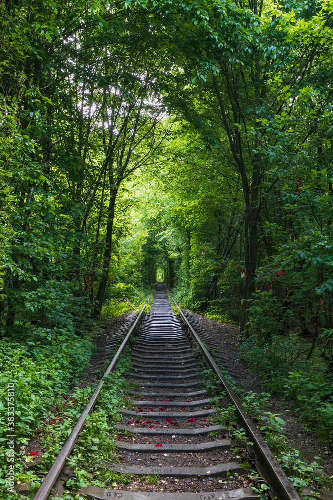 Love Tunnel (Railway section located in forest near Klevan, Ukraine. So named because before by this way girls from a nearby village and soldiers from a former military unit went on a dates). Love Tunnel (Railway section located in forest near Klevan, Ukraine. So named because before by this way girls from a nearby village and soldiers from a former military unit went on a dates).