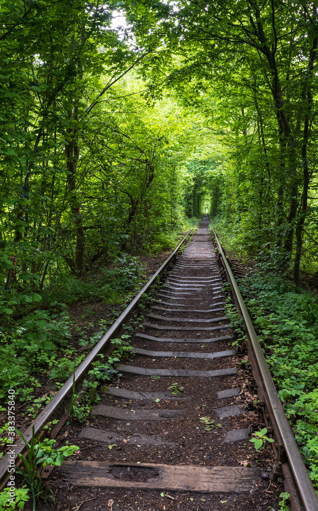 Love Tunnel (Railway section located in forest near Klevan, Ukraine. So named because before by this way girls from a nearby village and soldiers from a former military unit went on a dates). Love Tunnel (Railway section located in forest near Klevan, Ukraine. So named because before by this way girls from a nearby village and soldiers from a former military unit went on a dates).