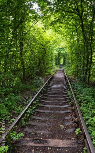 Love Tunnel (Railway section located in forest near Klevan, Ukraine. So named because before by this way girls from a nearby village and soldiers from a former military unit went on a dates).