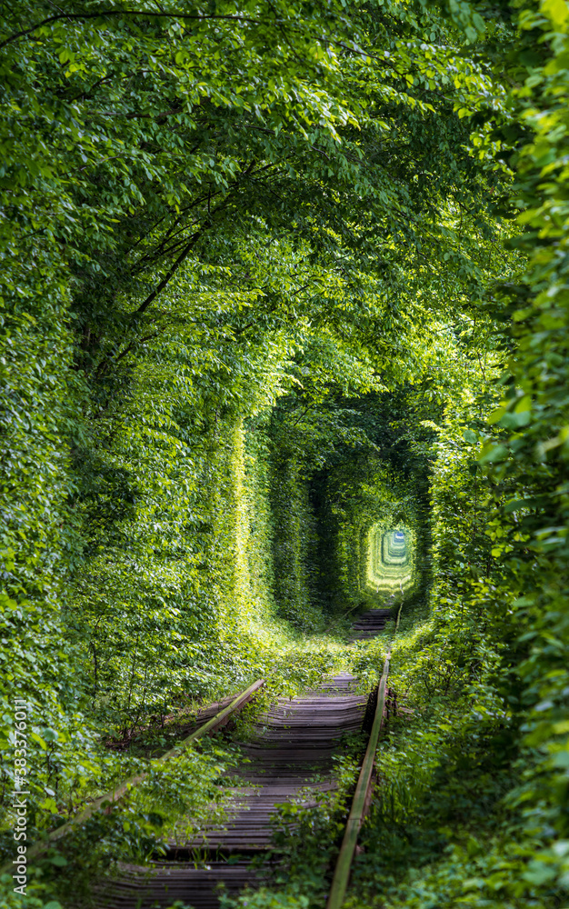 Fototapeta premium Love Tunnel (Railway section located in forest near Klevan, Ukraine. So named because before by this way girls from a nearby village and soldiers from a former military unit went on a dates).