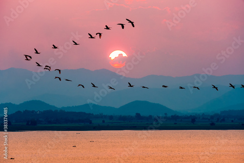 Beautiful nature landscape birds flock flying in a row over lake water red sun on the colorful sky during sunset over the mountains for background at Krasiao Dam, Suphan Buri in Thailand