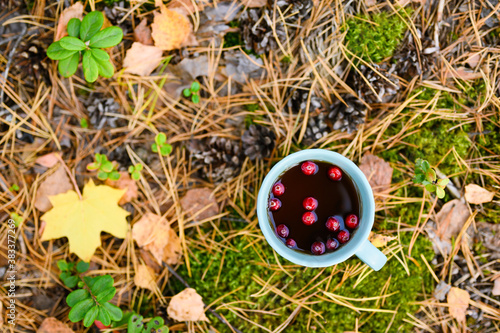 One mug of tea with berries is in the autumn forest. Herbal hot tea with cranberries. View from above.