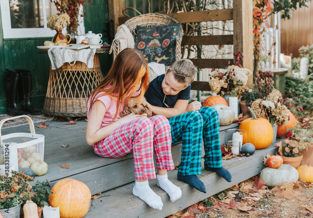 children a boy and a girl in pajamas with their dog having fun on the porch of the backyard decorated with pumpkins in autumn