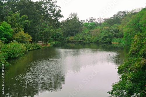 lake in the woods