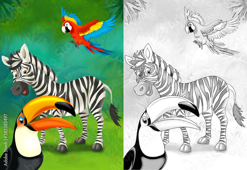 Fototapeta Naklejka Na Ścianę i Meble -  cartoon sketch scene with zebra in the forest - illustration