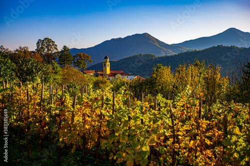 vineyard with mountains and sky