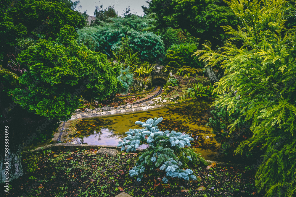 river in the forest