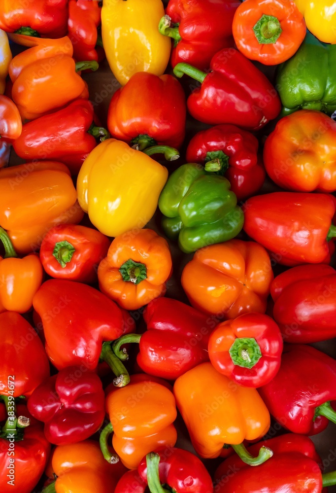 red, green and yellow peppers filling the photo red, green and yellow peppers filling the photo