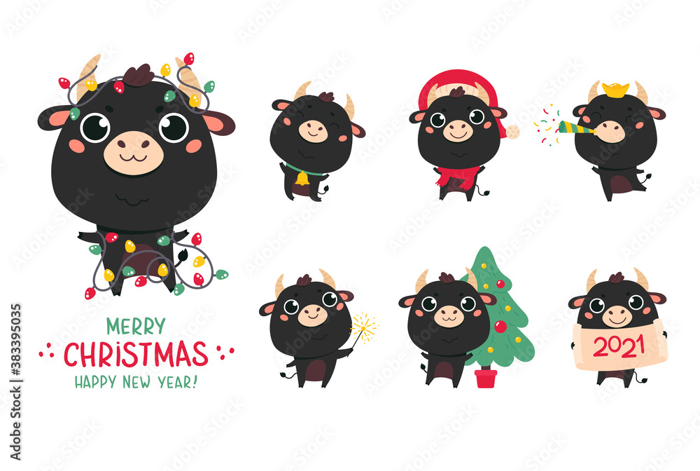 Set of cute black bulls and cows.New year cattle with various festive attributes.Chinese new year 2021 symbol.Set of holiday animals for the design of calendars,cards,advertising.Vector illustration Set of cute black bulls and cows.New year cattle with various festive attributes.Chinese new year 2021 symbol.Set of holiday animals for the design of calendars,cards,advertising.Vector illustration