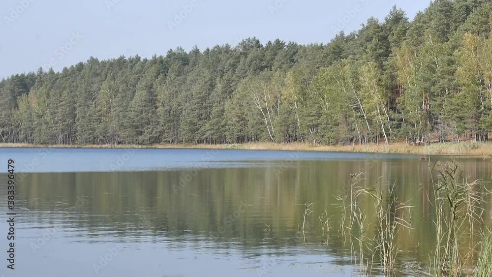 Calming and relaxing at the Lake in Lithuania Calming and relaxing at the Lake in Lithuania