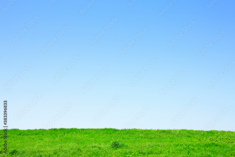 Fototapeta premium 草原