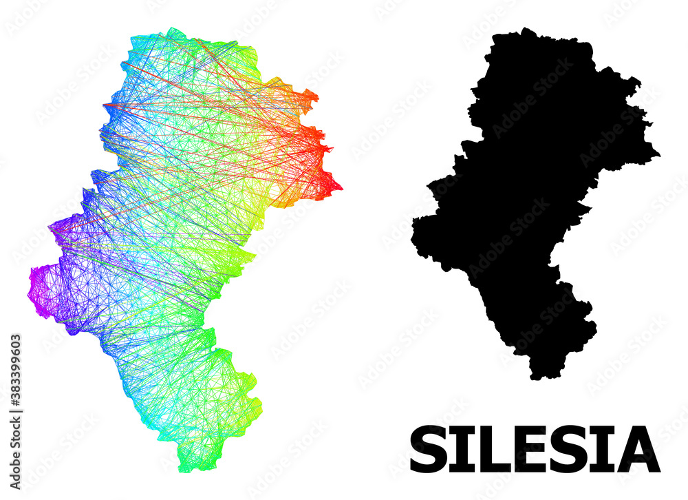 Obraz premium Wire frame and solid map of Silesia Province. Vector model is created from map of Silesia Province with intersected random lines, and has spectrum gradient.
