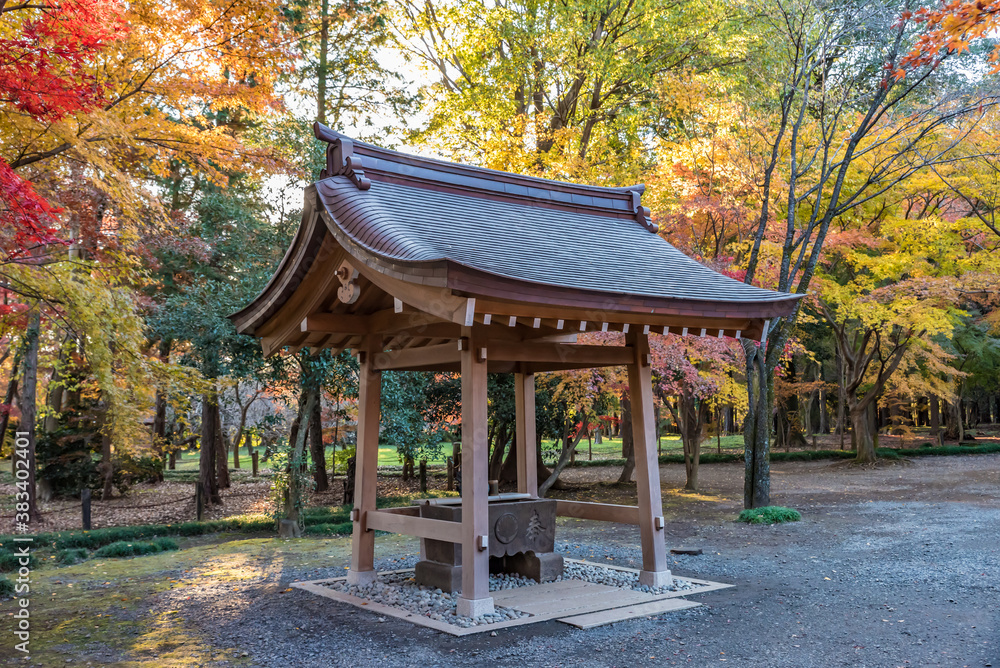 日本の風景　手水舎と紅葉　平林寺（埼玉県）