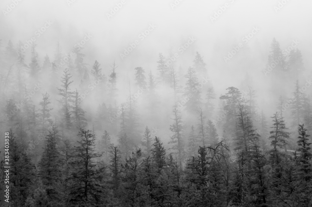 Landscape scenes with beautiful views Landscape scenes with beautiful views