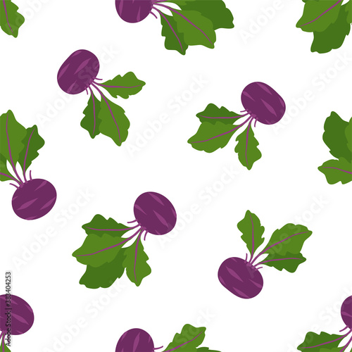 Vegetable Cabbage Kohlrabi. Patterns