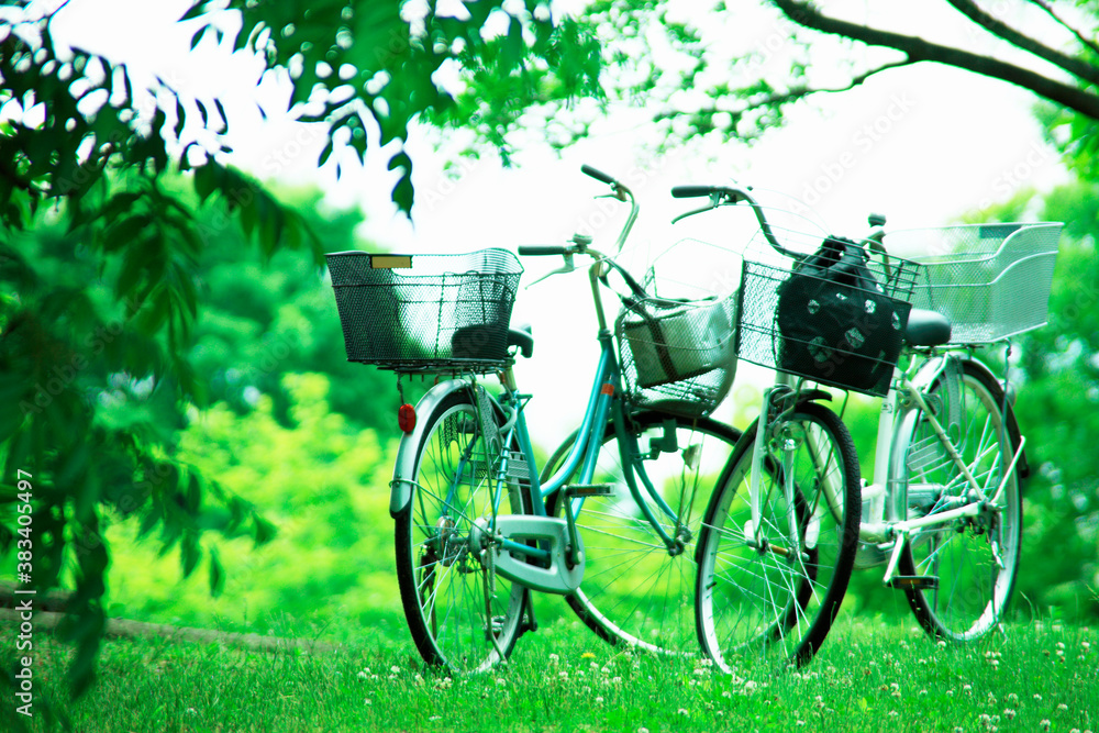 Fototapeta premium 草原と自転車