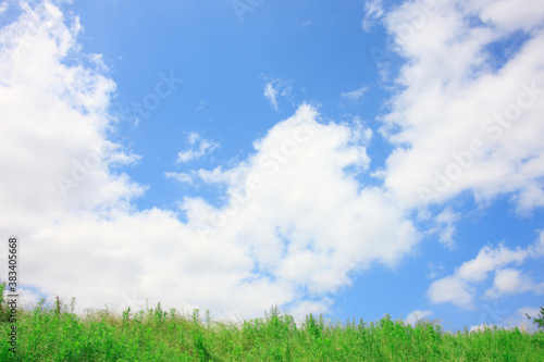 草原と青い空