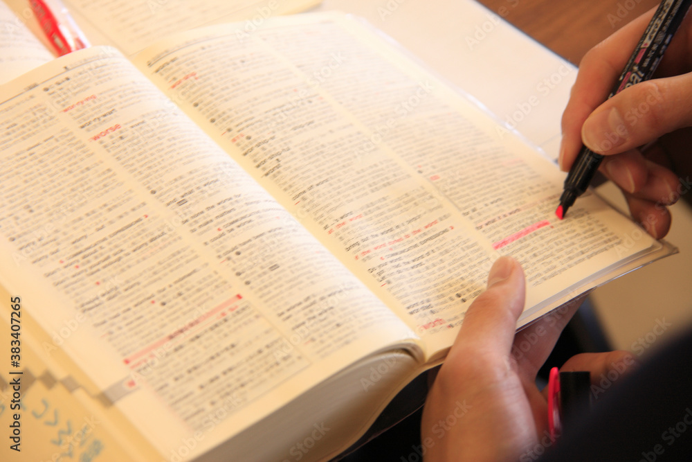 Naklejka premium 辞書