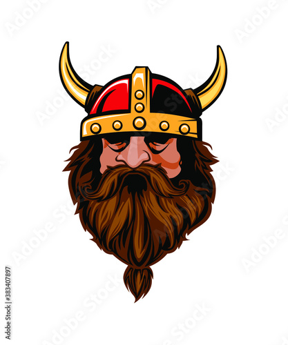 viking head mascot cartoon in vector photo