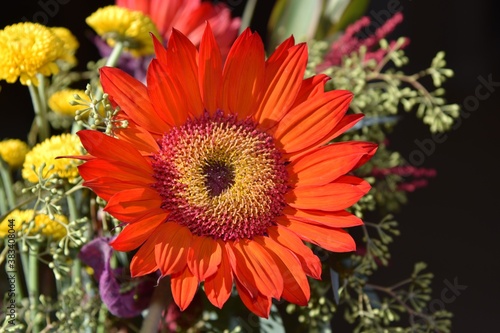 red sunflower in an arrangement