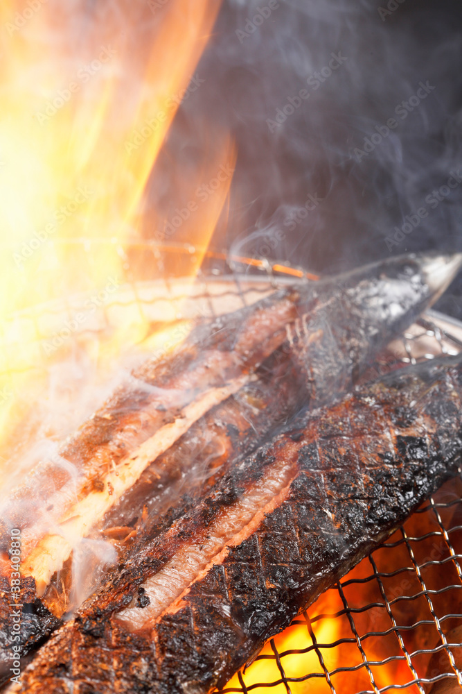 Naklejka premium サンマ