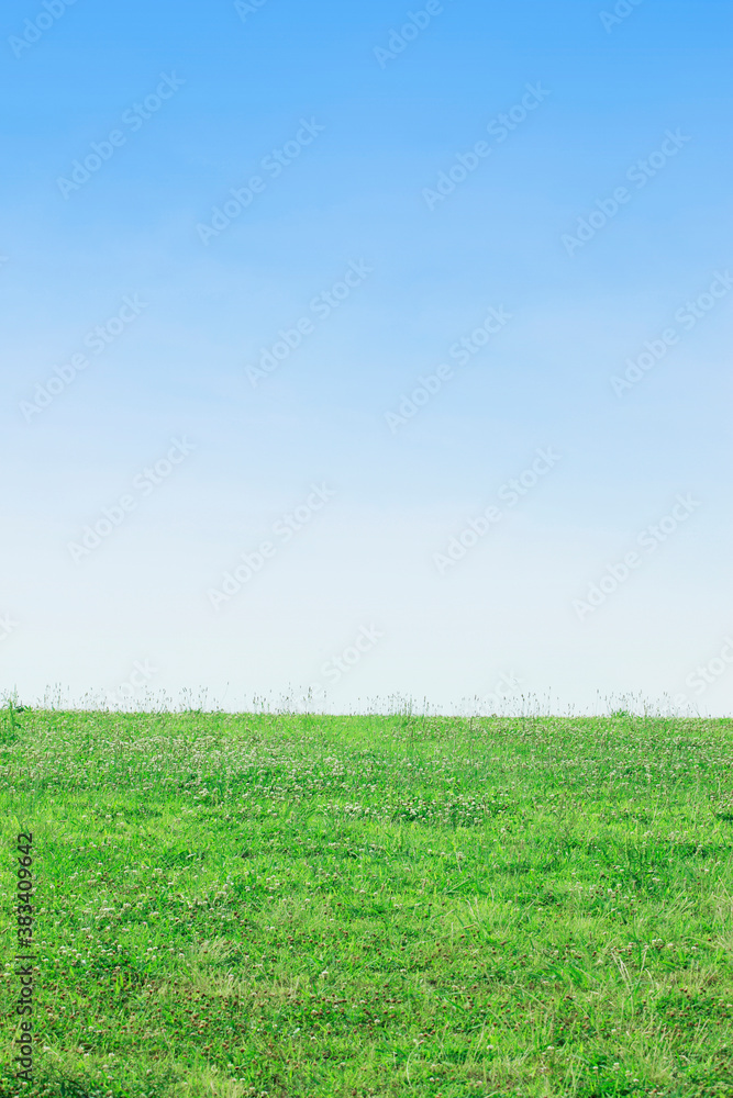 Obraz premium 草原