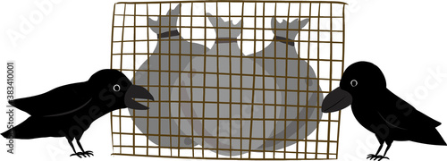 ゴミステーションを突っつくカラスのイラスト