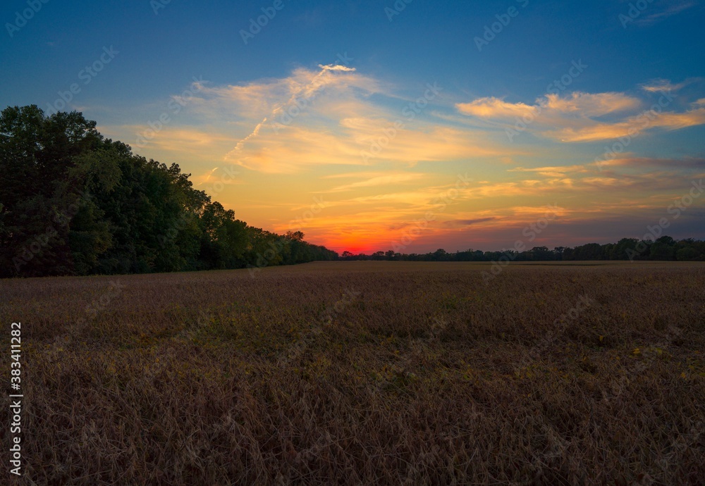This stunning image shows a colorful and whimsical sunset over remote Indiana farm field.