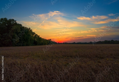 This stunning image shows a colorful and whimsical sunset over remote Indiana farm field.