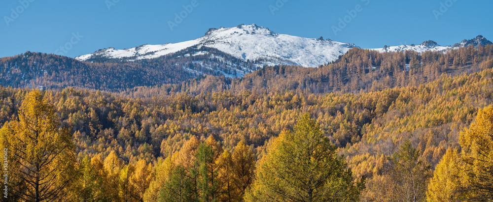 Panoramic autumn view, sunny day. Nature of Siberia, wild place. Mountain taiga, snow-capped peaks. Panoramic autumn view, sunny day. Nature of Siberia, wild place. Mountain taiga, snow-capped peaks.