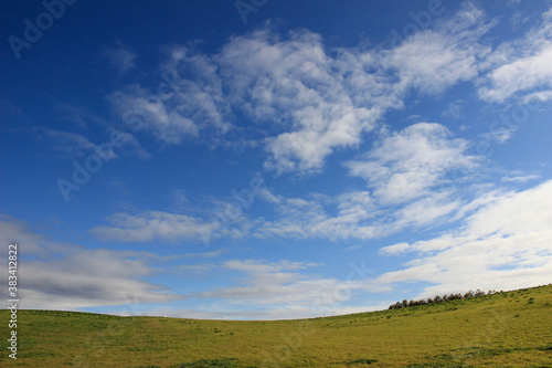 緑の草原と青空 