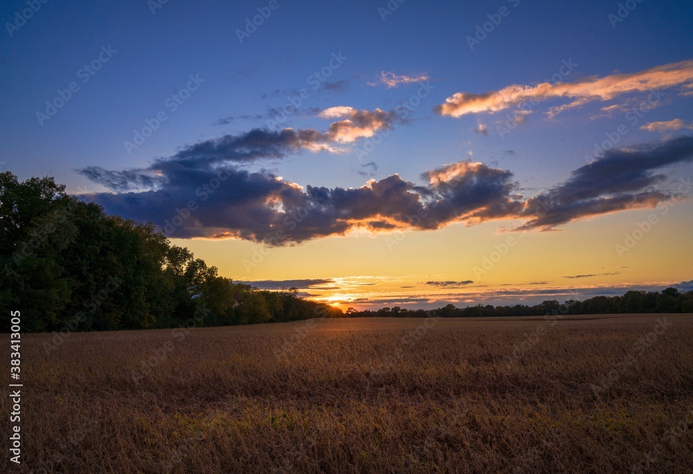 This image shows an early evening sunset with a blue and golden glowing sky over a rural field landscape.
