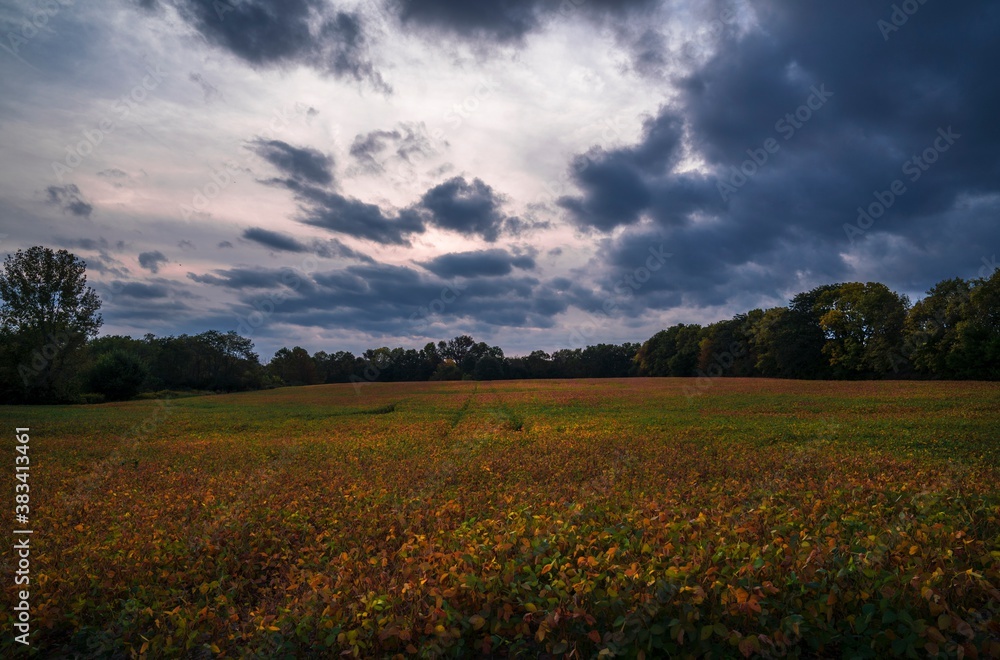 This image shows ominous clouds over a rural field landscape.