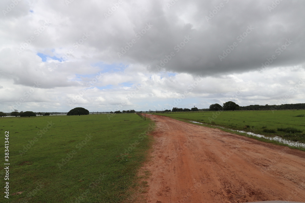 Obraz premium road in the field