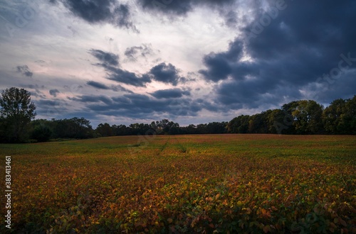 This image shows ominous clouds over a rural field landscape.