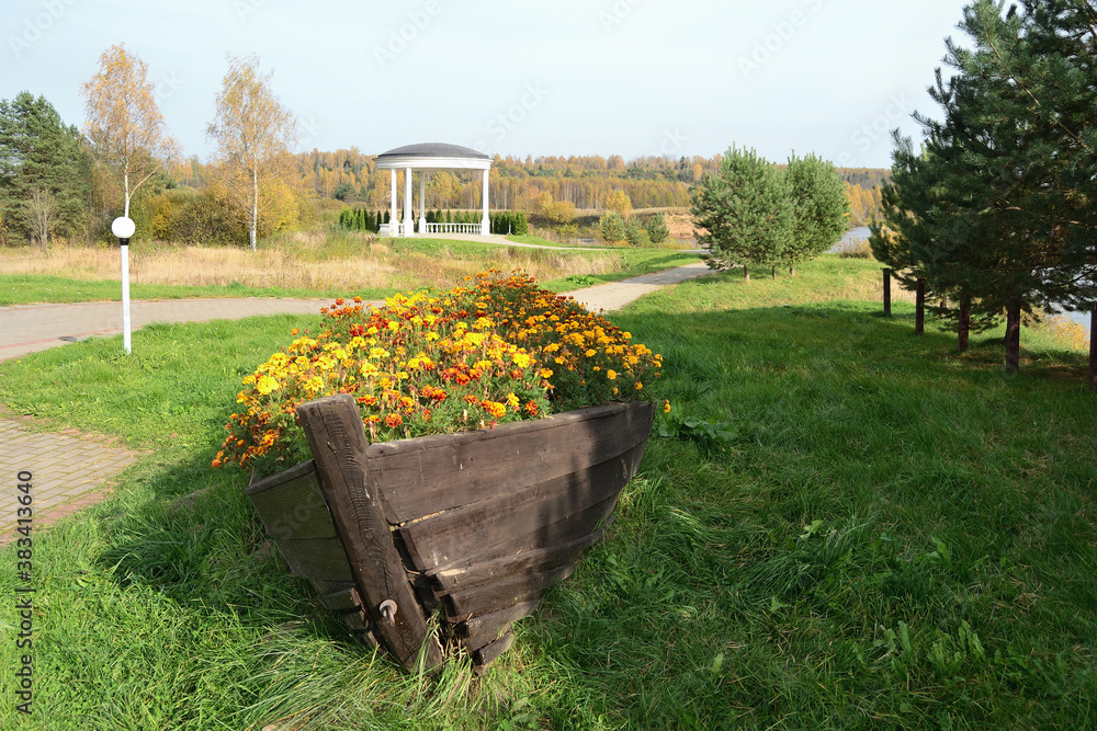 A flowerbed from an old wooden boat with flowers against the blue sky, autumn forest and a large white gazebo.