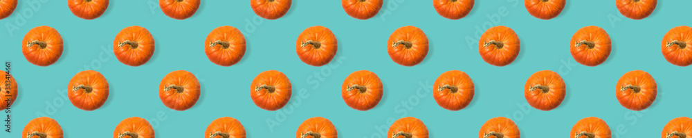 Seamless pattern of ripe pumpkins on a blue background. Seamless pattern of ripe pumpkins on a blue background.