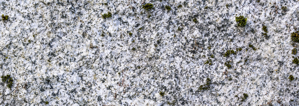 Closeup of gray textured stone with green moss and lichen growing on it, as a nature background
Closeup of gray textured stone with green moss and lichen growing on it, as a nature background