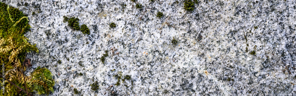 Closeup of gray textured stone with green moss and lichen growing on it, as a nature background
Closeup of gray textured stone with green moss and lichen growing on it, as a nature background